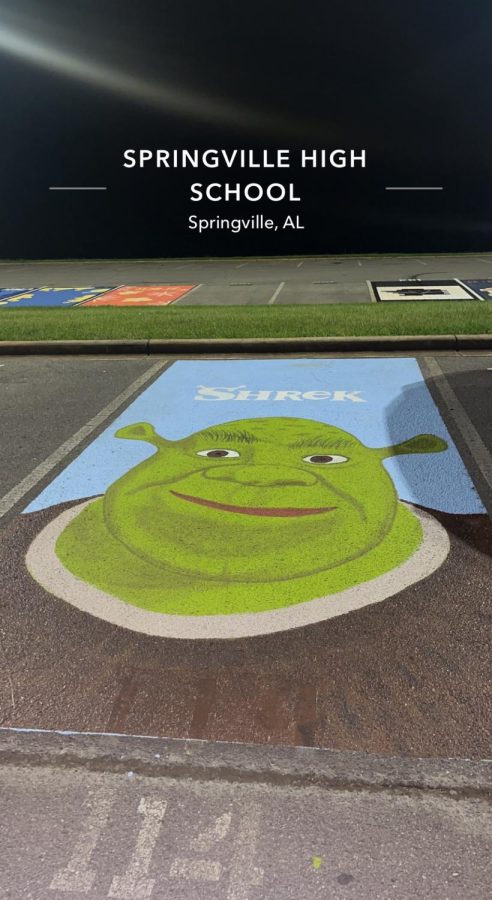 Asa Morrisons Shrek parking spot.