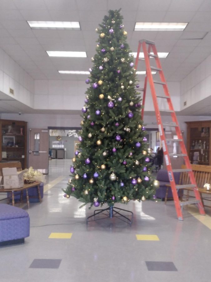 The SHS Christmas tree was put up in the lobby this week decorated with Springville colors. 