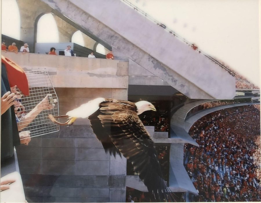 The+eagle+flying+over+Jordan+Hare+Stadium+is+a+tradition+at+every+Auburn+Football+game.+